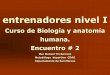 Curso de Biología y anatomía humana. Encuentro # 2entrenadormovil.cog.org.gt/sites/default/files/documentos/academia... · DIVISIÓN DEL ESQUELETO ESQUELETO AXIAL Ocupa la línea