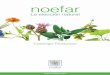 La elección natural - Noefar | Importaciones Naturales · 4 Noefar, Desde hace 20 años, con sus productos, sus fórmulas y sus plantas medicinales, ayuda a proteger y a conservar