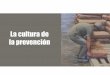 La cultura de la prevención - OIT en América Latina y el ...white.lim.ilo.org/spanish/260ameri/oitreg/activid/proyectos/actrav/... · •Entrenamiento en salud y seguridad en el