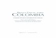 REGLA FISCAL PARA COLOMBIA - banrep.gov.co · Gráfico 16 Pronósticos de inversión en petróleo y minería 60 ... Diagrama 1 Operatividad de la Regla Fiscal 47. 15 resumen ejeCutivo
