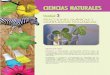 CIENCIAS NATURALES - … · Introducción al proyecto ... “Elaboración de jabón casero” en el ... ciencias naturales 105 Ejemplos de reacciones químicas: 1