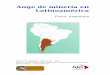 Auge de minería en Latinoamérica - FDCL | Forschungs ... · En 1997, Argentina junto a Chile, acuerdan la suscripción de un Tratado de Integración y Complementación Minera, 