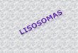 LISOSOMAS - Juventud Médica - Iniciojuventud-medica.weebly.com/uploads/2/1/2/2/21229712/lisosomas.pdf · cual permite el reconocimiento específico entre el ... variedad de otros