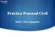 Práctica Procesal Civil - moodle2.unid.edu.mxmoodle2.unid.edu.mx/dts_cursos_mdl/ejec/DE/PC/S07/PC07_Visual.pdf · encuentren vigentes o no es cada estado, ya que todos ellos tienen