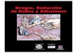 MANUAL de Drogas, Adicciones - …enfoqueterritorial.org.py/.../04/MANUAL-de-Drogas-Adicciones-...pdf · con la sociedad civil acerca del universo de las drogas en el Paraguay, complejizando