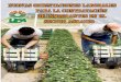 NUEVAS ORIENTACIONES LABORALES PARA LA … · Trabajo en el Sector Agrario: Realidades Incomprendidas y Complejidades Añadidas»: «La incorporación de mano de obra de nacionalidad