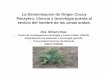 La Denominacion de Origen Cocuy Pecayero: Ciencia y ... · •Investigar e internalizar el conocimiento nativo •Involucrarse con la comunidad ... del hombre de las tierras secas