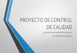 PROYECTO DE CONTROL DE CALIDAD - ide.uyide.uy/sites/default/files/PROYECTO DE CONTROL DE CALIDAD1.pdf · Alexander Páez Lancheros 04/04/2017 8 Procesamiento de Datos • Procesamiento