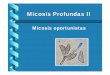 Micosis Profundas II 2006 - higiene.edu.uy · Micosis oportunistas • Son aquellas producidas como consecuencia de una alteración inmunológica del hospedero, que ... • Infección