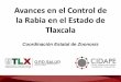 Avances en el Control de la Rabia en el Estado de … · Avances en el Control de la Rabia en el Estado de Tlaxcala . El Estado de Tlaxcala ancestralmente junto con otras Entidades