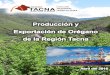 “Producción y Exportación de Orégano en la Región de …agroaldia.minagri.gob.pe/.../produccion_exportacion_oregano.pdf · GENERALIDADES DEL OREGANO 7 1.1. ORÉGANO EN TACNA