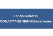 Fondo Sectorial CONACYT-SENER-Hidrocarburos2006-2012.conacyt.gob.mx/fondos/FondosSectoriales/SENER/... · D7/CH2009‐03 Mejorar el sistema de desalado de crudo pesado en las 
