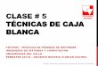 CLASE # 5 TÉCNICAS DE CAJA BLANCA - Campus … · Basado Parcialmente en Material de la Empresa Green-SQA de ParqueSoft . ... Técnicas de estructuras de control de flujo (Decisión/Condición)