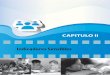 CAPITULO II - portal1.chaco.gov.arportal1.chaco.gov.ar/uploads/multimedia/archivo/_Sistema de... · de la insatisfacción de al menos una de las ... • Vivienda: hogares que habitaran