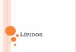 LÍPIDOS - [DePa] Departamento de Programas …depa.fquim.unam.mx/amyd/archivero/2-Lipidos-Resumen-Intersemestr… · ... los componentes lipídicos tienen gran importancia en la