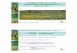 Experimentación Práctica del agricultor · 2011-03-28 · para el uso de la fertilización en trigo, cebada y maíz Fertilización en zonas vulnerables: Investigación y desarrollo