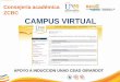 Consejería académica ZCBC CAMPUS VIRTUAL · Encuesta de satisfacción estudiantil informes, ... Programa Formación de ... Consolidado de Noticias del Campus Virtual (circulares,