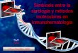 Simbiosis entre la serologia y métodos moleculares en ... · ¾Falta de un método único (universal) para la detección y identificación de anticuerpos ... ¾antígenos carbohidratos