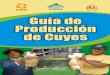 Guía de Producción de Cuyes - care.pe de Producción de Cuyes.pdf · Se recomienda complementar la alimentación de pastos con alimento balanceado, ya que permitirá un crecimiento