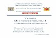 TEORÍA - Facultad de Economíaherzog.economia.unam.mx/miguelc/docs/pubs/pub_acadlib_200502_M… · intermedia obligatorios y dos de microeconomía avanzada de ... Macroeconomía