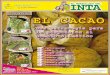 EL CACAO - inta.gob.ni Cacao.pdf · El cacao cultivo amigo del ambiente Contenido EL CACAO Una estrategia para la adaptación al cambio climático Establecimiento de plantación Pág