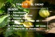TEMA 15.- EL CACAO GUIÓN - univsantana.com 15. Cacao.pdf · • Fue utilizado como moneda de cambio en las culturas precolombinas (Olmecas y mayas). • Hernán Cortés durante la
