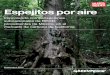Imponiendo compensaciones subnacionales de REDD ... · permanentes en la deforestación y degradación forestal de ... los derechos de los pueblos indígenas y comunidades locales