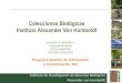 Colecciones Biológicas Instituto Alexander Von Humboldt · de Huevos (herencia familiar iniciada en 1870) ... • Patrones de distribución con respecto a factores ambientales •