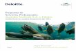 Propuesta de Servicios Profesionales Australis …australis-seafoods.com/.../2012/04/Propuesta-Tecnica-Deloitte.pdf · moneda funcional Seguridad al Directorio y su Administración: