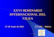 XXVI SEMINARIO INTERNACIONAL DEL CILEA Seminario Sucre/1 - ESPANA Puigvert... · normas internacionales (nic/niif) e interpretaciones ... 31. continuamos la ... p.g.c. y p.g.c. de