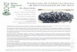 Nota Producción de Carbón en Hornos Técnica 76 En … · Como pedazos más grandes de madera combustible – más de 6 cm (2.4 pulgadas) de diámetro—son menos disponibles en