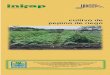 Cultivo de pepino de riego - cofupro.org.mx · cultivo de pepino de riego secretaria de agricultura, ganaderÍa y desarrollo rural instituto nacional de investigaciones forestales,