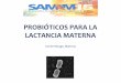 PROBIÓTICOS PARA LA LACTANCIA MATERNA - …€¦ · carme.monge@angelini.es .  +34 671 020 012 ¿Qué es un probiótico?