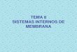 TEMA 8 SISTEMAS INTERNOS DE MEMBRANAnaturacascales.weebly.com/uploads/2/5/4/9/25496935/tema_8... · la metamorfosis de los insectos y anfibios. ... Origen de las mitocondrias. Teoría