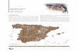 Golondrina Común Hirundo rustica - … · DISTRIBUCIÓN Mundial. Es la golondrina de distribución más extendida. Nidifica en Eurasia, norte de África y Norteamérica. Su área