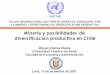 Minería y posibilidades de diversificación productiva en …biblioteca.unmsm.edu.pe/redlieds/Proyecto/Eventos/eventos2007/... · COCIENTES DE LOCALIZACIÓN 1997 - 2006 8 Actividad