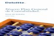 Nuevo Plan General de Contabilidad - globalcontable.comglobalcontable.com/archivosgenerales/secciones/ifrs/herramientase... · cuentas individuales de las empresas y de los grupos
