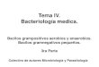 Tema IV. Bacteriología medica.uvsfajardo.sld.cu/sites/uvsfajardo.sld.cu/files/v_bacilos_gram... · Bacterias intracelulares obligadas. ... Organismos intracelulares muy pequeños