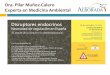 Dra. Pilar Muñoz-Calero Experta en Medicina Ambiental · Hay muchas investigaciones que relacionan los Disruptores Endocrinos (alteradores hormonales) con ... tratamiento y otros