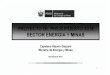 SECTOR ENERGÍA Y MINAS - Archivo Digital de la ... · Contenido a o PERU Ministerio de Energía y Minas Importancia y Marco Estratégico del Sector Gestión del Presupuesto Sectorial