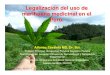 Legalización del uso de marihuana medicinal.Perú.Dr. …³n... · La autorización de la marihuana medicinal no viola la Convención Única de las Naciones Unidas de 1961 sobre