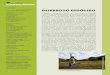 DESARROLLO ENDÓGENO - agruco.org 13.pdf · el desarrollo endógeno y otros acercamientos participativos es el énfasis que hace en la inclusión de los aspectos espirituales en el