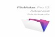 FileMaker Pro Advanced Development Guide · a través de una intranet o de Internet. ... utilizarlo en un ordenador; 1 eliminar el acceso administrativo de todas las cuentas y evitar