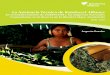 La Asistencia Técnica de Rainforest Alliance · Reserva de la Biósfera Maya ... Componente Económico ... y contribuyen a mejorar la calidad de vida de la población local, 