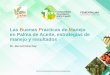 Presentación de PowerPoint - …congresopalmeromexicano.com/femex_congreso/static/images/memori… · Las Buenas Practicas de Manejo en Palma de Aceite 1. ... insumo de alto costo