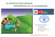 LA AGRICULTURA ANDINA PATRIMONIO DE LA … · 2011-12-20 · LA AGRICULTURA ANDINA PATRIMONIO DE LA HUMANIDAD Por: Alipio Canahua; ... •Cultura organizacional para la gestión del