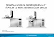 FUNDAMENTOS DE CROMATOGRAFÍA Y TÉCNICAS DE … · Fundamentos de la Cromatografía de gases: La cromatografía de gases es una técnica que separa mezclas en componentes individuales