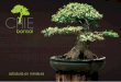 Para los amantes del arte bonsái - CHIE bonsai - … Chie Bon… · CHIE bonsai Tiene como principal función la de producir árboles en miniatura con los más ... la mayor diciplina