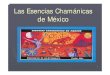 Las Esencias Chamánicas de México - Energia Floral ... · 106 Visión Autóctona sobre cada grupo de esencias: •La Tierra constituye los minerales que conforman la estructura
