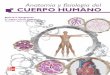 Anatomía y fisiología del cuerpo humano - ISMM Formosa · Aspectos estructurales del sistema vascular 2.3. Distribución anatómica del sistema linfático 3. FISIOLOGÍA 3.1. Generación